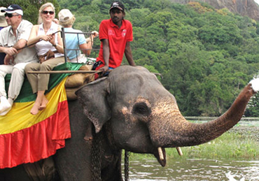 Village Tour - Elephant Ride