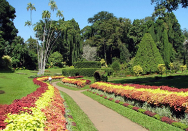 Royal Botanical Garden in Peradeniya